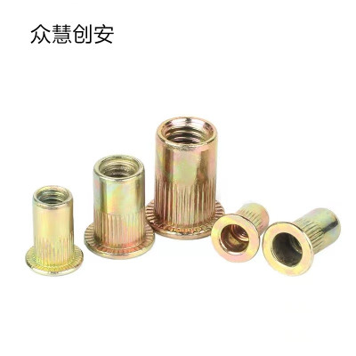 众慧创安 彩锌拉铆螺母 M10 个