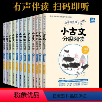 1-6年级12册小古文分级阅读 小学通用 [正版]小古文分级阅读上下册小学生一读就懂一二三四五六年级文言文大全一天一首人