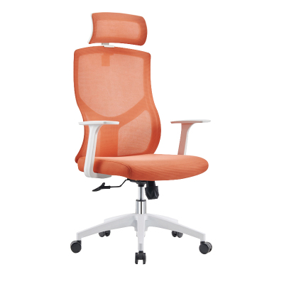 臻远 ZY-BGY-24 办公椅转椅人体工学椅电脑椅会议椅办公椅子学习椅 (白色)