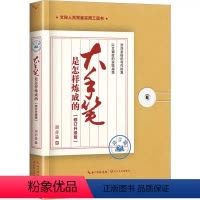 [正版]大手笔是怎样炼成的 语言篇 修订升级版 谢亦森 出版社 叶洋图书
