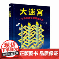 大迷宫(英)西蒙.沃德 著 王玉 译WX