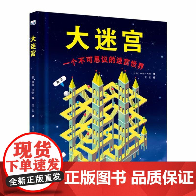 大迷宫(英)西蒙.沃德 著 王玉 译WX