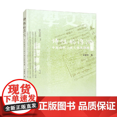 诗性的浮沉 中国现代小说文体互渗现象 王爱军 著 文学