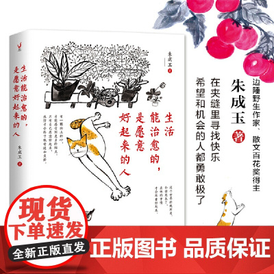 生活能治愈的,是愿意好起来的人(在夹缝里寻找快乐、希望和机会的人都勇敢极了。边 朱成玉 新世界出版社 正版书籍