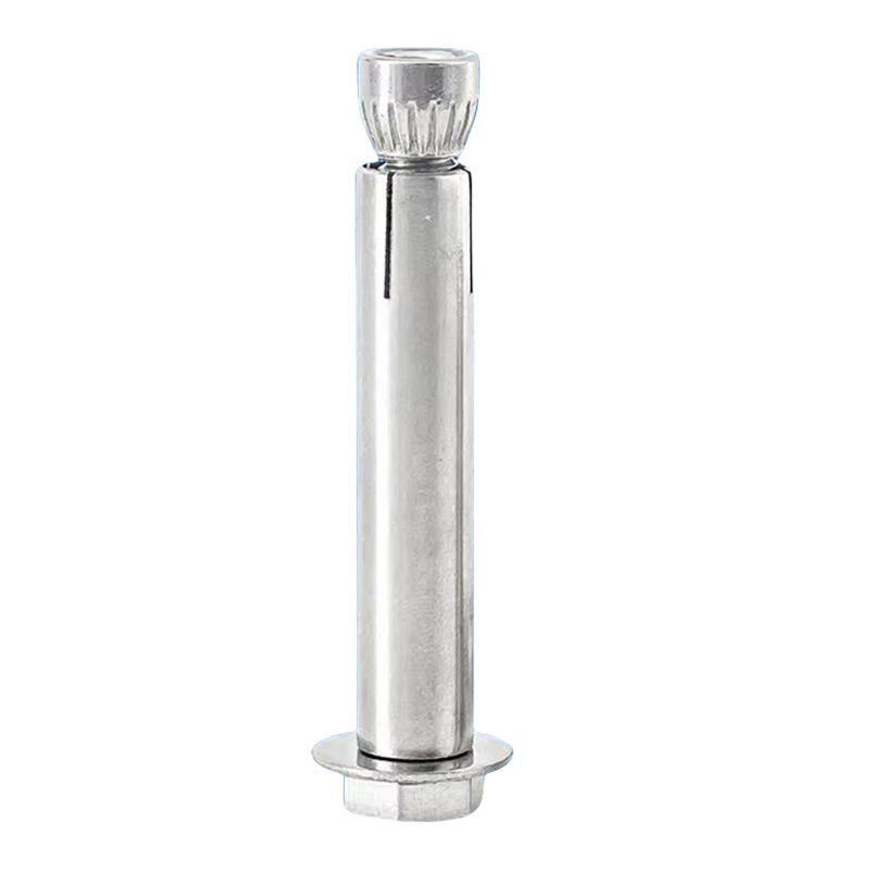 贝策 膨胀螺栓 M24*250mm 个