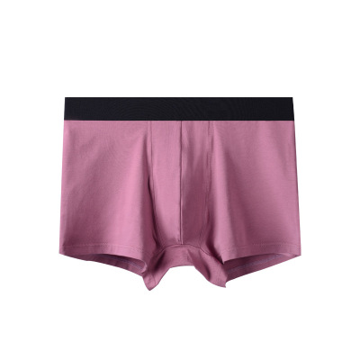 内裤男生纯棉短裤厂家定制贴牌大码内裤莫代尔内裤平角内裤头