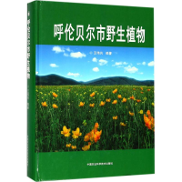 [M]呼伦贝尔市野生植物-9787511632111