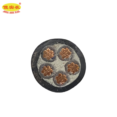 傻实在 电缆 国标全项保检 YJV 5*4mm² 米
