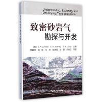 音像致密砂岩气勘探与开发(美)库迈拉 等编,李建忠 等译