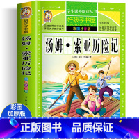 汤姆·索亚历险记 [正版]四大名着小学生版注音版全套4册 西游记三国演义水浒传红楼梦原着儿童版带拼音青少年版小学生课外阅