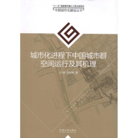 音像城市化进程下中国城市群空间运行及其机理彭翀