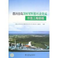 正版新书]四川白马300MW循环流化床示范工程总结(精)四川白马300