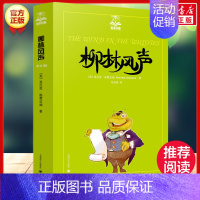 柳林风声(美绘版) [正版]总有一天会长大全套 经典美绘版夏洛书屋三四五六年级小学生课外书 铁路边的孩子们西顿动物记夏洛