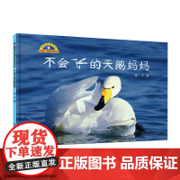 不会飞的天鹅妈妈