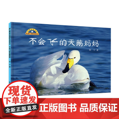不会飞的天鹅妈妈