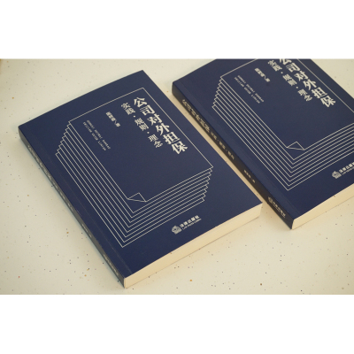 公司对外担保 实践·规则·理念