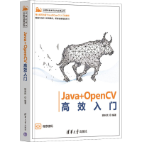 音像Java+OpenCV高效入门姚利民