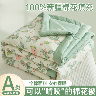 纯棉春秋被里外全棉夏被空调被夏季卡通儿童薄被子可机洗_210