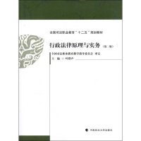 音像行政法律原理与实务叶群声 编