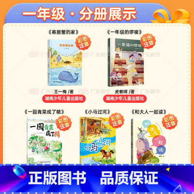 [全套5册]一年级阅读 [正版]2024湖南阅美书湘一年级上册课外书阅读注音版全5册 一园青菜成了精小马过河春风文艺和
