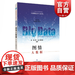 图情大数据