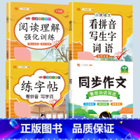[抖音同款] 语文专项训练(4本) 六年级下 [正版]小学语文专项训练一年级练习册全套看拼音写词语二年级上册三四五六年级