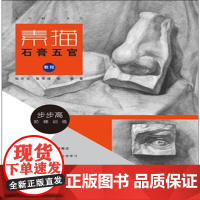 素描 石膏五官教程 张天志,张奇峰,张笑 著 绘画(新)艺术 正版图书籍 上海大学出版社