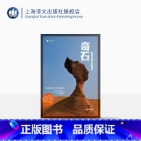 [正版]奇石 译文纪实 彼得海斯勒 何伟 上海译文出版社