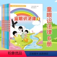 6本套装 [正版]童眼识法律6册套装(写给孩子的法律漫画书)儿童安全教育 普法宣传