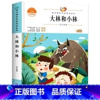 大林和小林 [正版]宝葫芦的秘密 张天翼原着 三年级四年级课外书 小学生阅读课外书籍 儿童读物儿童文学适合小学生看的课外