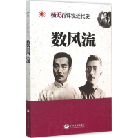 音像数风流杨天石 著