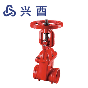 兴酉 沟槽明杆闸阀 DN200 个