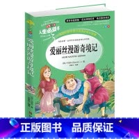 [正版]爱丽丝漫游奇境记 彩图详解小学生课外书读物三四五六年级故事书籍8-9-10-12-15周岁 青少年版读物爱丽丝