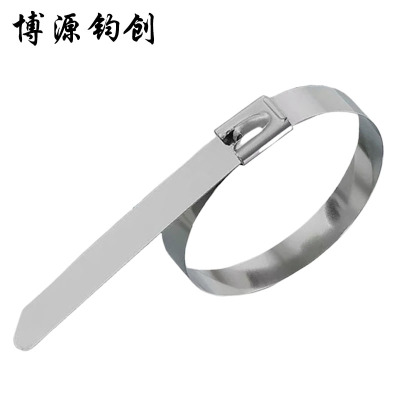博源钧创 304不锈钢扎带 7.9*600MM 根