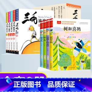金波四季美文+三毛流浪记全集 [正版]金波四季童话美文注音版全套4册 雨点儿 阳光 树和喜鹊 沙滩上的童话 一年级阅读课