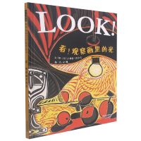 音像看!观察画里的光(新)[英]吉莉恩·沃尔夫