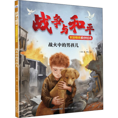 战火中的男孩儿