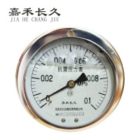 嘉禾长久+耐震压力表轴向带边检测定制型+YTN100ZT+块