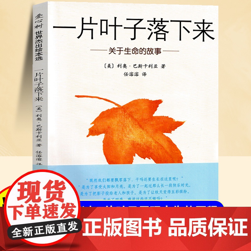 一片叶子落下来儿童故事绘本3-5-6-8岁关于生命的故事图画书儿童亲子阅读绘本小学生读物一二三年级儿童课外阅读书籍