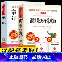 [全套2册]童年+钢铁是怎样炼成的(赠考点) [正版]全套2册 钢铁是怎样炼成的 童年六年级必读课外书老师上册经典书目6