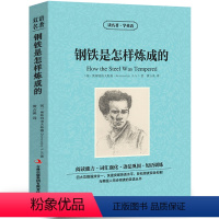 [中英互译]钢铁是怎样炼成的 [正版]中英双语安徒生童话书全集中英文双语名著读物英汉对照互译英语小说安徒生原著 读名著学