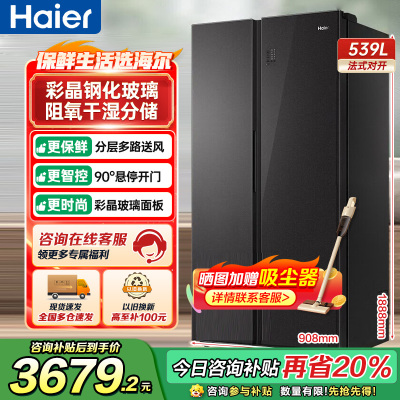 海尔(Haier)539升对开门嵌入冰箱 彩晶一级变频 阻氧干湿分储 DEO净味家用 BCD-539WGHSSE5SL