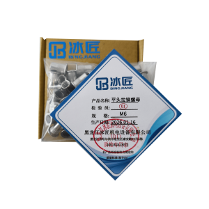 冰匠 304不锈钢平头拉铆螺母 个