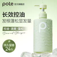 柏缇 北非雪松控油蓬松洗发水505ml 清爽去屑止痒留香氨基酸洗发露