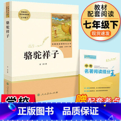 [正版]骆驼祥子原著老舍七年级下册人民教育出版社初中生必读课外书人教版初一七下课外阅读文学名著小说书籍海底两万里初中版