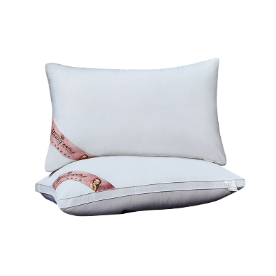 伊伊爱 防羽布全棉豪华版枕芯白色