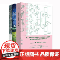 独眼作品系列全3册 请勿离开车祸现场+胖子+在无尽无序的汪洋里,紧挨着你 短篇小说集中国当代现代小说作品 世纪文景