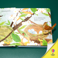 [M]尤斯伯恩偷偷看里面 鸟儿的家 英国尤斯伯恩出版公司 编 韩苏 译 -9787544874656