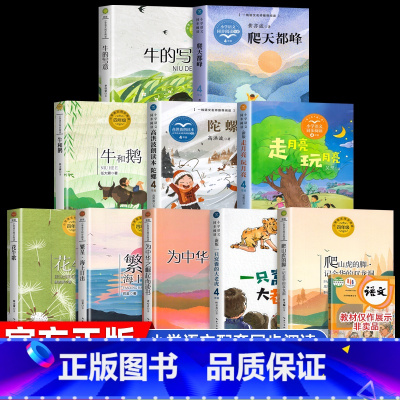 [全10册]四年级上册配套阅读 [正版]生命的故事维吉尼亚绘本四年级阅读课外书必读老师经典书目2024年暑假必读文集凯迪