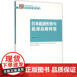 日本能源形势与能源战略转型(2016)/国家智库报告